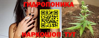jwh Кингисепп