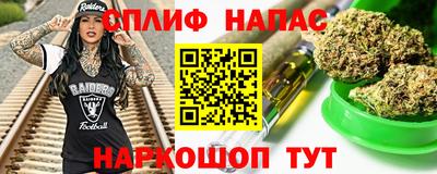 jwh Кингисепп