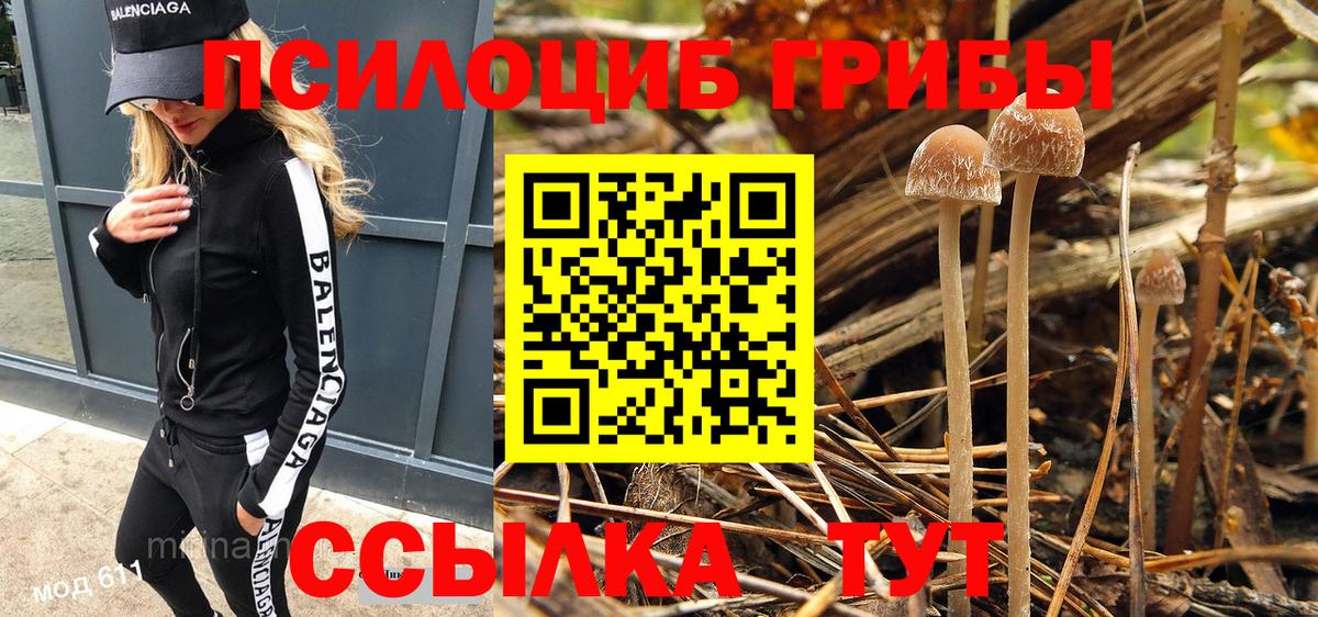 Псилоцибиновые грибы Cubensis Балашов