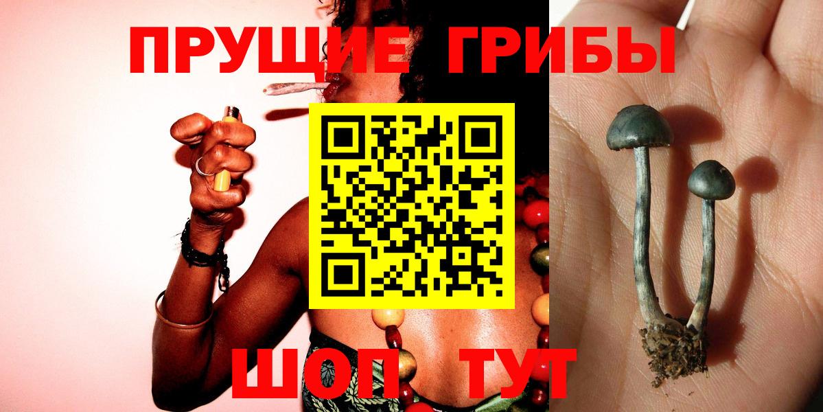 Псилоцибиновые грибы MAGIC MUSHROOMS  купить наркотики цена  Балашов  Галлюциногенные грибы прущие грибы  Вход с VPN 